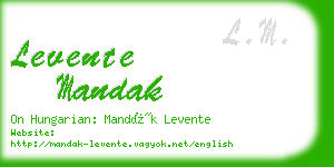 levente mandak business card